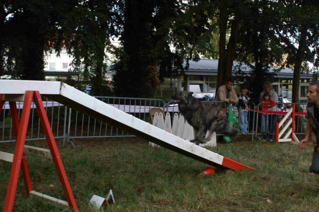 foire-haricots 2011-09-17et18